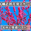 札幌近郊花見スポット10選〜桜の名所と見頃
