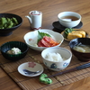 お刺身ごはん