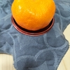 とある細胞