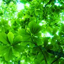 長野でセッション　Music session in Shinshu !