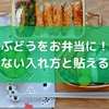 ぶどうをお弁当に！失敗しない入れ方と貼える詰め方