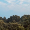 今朝の景色