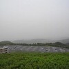 連休後編…一日目「宇佐神宮」