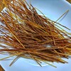 パスタで作る簡単スナック、明日から電気ガス値上がり