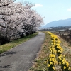 花見の次は渓流釣り😂