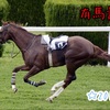 「有馬記念」2019年☆予想！！回収率100％を維持できるでしょうか？