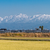 立山連峰を背景に：特急ひだ