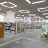 図書館のはしご