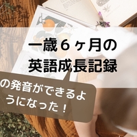 一歳半の娘の英語成長記録 自宅で英語教育 今日からできるおうち英語 一歳半の娘の英語成長記録 自宅で英語教育 今日からできるおうち英語
