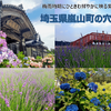 紫陽花やラベンダーなど季節の花を巡る、埼玉県嵐山町の立ち寄りスポットを紹介します！