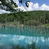 美瑛 オススメ観光スポット 青い池と白ひげの滝