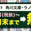 ポケモン剣盾 多発する こううんのおこう 詐欺に注意 バーチャルvtuver豆猫さんの与太話