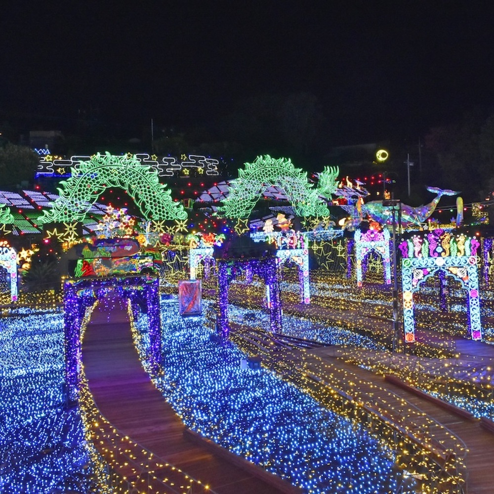 龍が舞う光の冒険へ「伊豆高原グランイルミ ～11th SEASON～」開幕