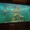 サケ科魚類の展示数日本一！日本最東端にある水族館「標津サーモン科学館」