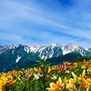 夏休み・白馬