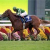 第25回（39回）マイルチャンピオンシップ（GⅠ）阪神競馬場　芝1600m　2022年