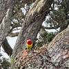 「🌳命の木」　幸福の探求　　“気付き”     パラダイム転換‼️