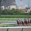 【雑記】初めての競馬場体験記（中山競馬場編）