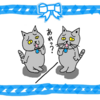 ねこ漫画【ミラーリング効果？？】