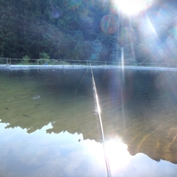 【榛名高原釣り堀センター】いろいろなパターンで釣れました