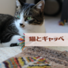 猫は絨毯が好き