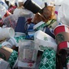 プラスチック廃止、グレタ・トゥンベリさんのスピーチ、環境活動の現状と意識、わたしにできること。