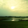田園夕景（茨城県五霞町）