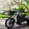 Harley-Davidson　BREAKOUT　FXSB   &  SAKURA  2020