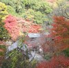 紅葉狩り（西光寺から滝道へ）