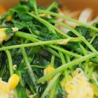 【DAIGOも台所】豆苗うどんのレシピ！山本ゆり【11月14日】