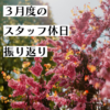 【ＹＴＯ通信３月号】スタッフの休日振り返り【２０２２】