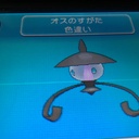 サニーゴ 色違い備忘録