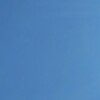 2022.11.2.Wed晴れのときは気分が忙しない