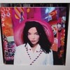 bjork / post