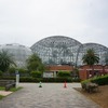 2022/07/12 夢の島熱帯植物館