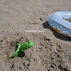 車椅子親の海水浴どうしよう問題