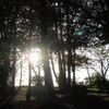 視聴回数が上がらない動画とSuper Thanks