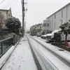 関東大雪警報。シンシンとたくさん降りました。☃️❄️