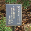 万葉歌碑を訪ねて（その１９１４～１９１６）―松山市御幸町　護国神社・万葉苑（７９，８０，８１）―万葉集　巻十一　二七五九、巻七　一三三〇、巻九　一七三〇