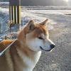 しらない人からラインに誘導されたら200%詐欺！！