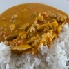 ドイツでココナッツカレー