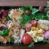 HAKOYA メンズ一段ランチ 800ml 弁当箱　第七十九弾!　肉入り焼き飯弁当　&　アイリスオーヤマの冷凍庫だって？＋我が家の古い家電
