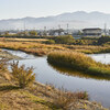 富田林市 寺内町 Ⅳ