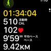 ウォーキング、1km9分台のペースで歩き切りました！