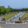 須磨離宮公園の薔薇と角打ち