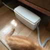 猫を室内で飼うための対策　～猫を感電から守る電気コード対策～
