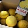 箱買い　2025年2月②