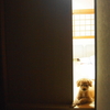 ニゴくんいじらしい
