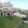 函館の夜景と五稜郭の桜：４回のスナップ写真レポート・・・④五稜郭タワーには土方歳三の姿も