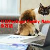 アプリのPackage Family Nameを調べる方法